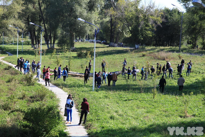 Чистые берега