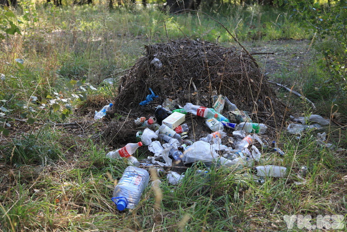 Чистые берега