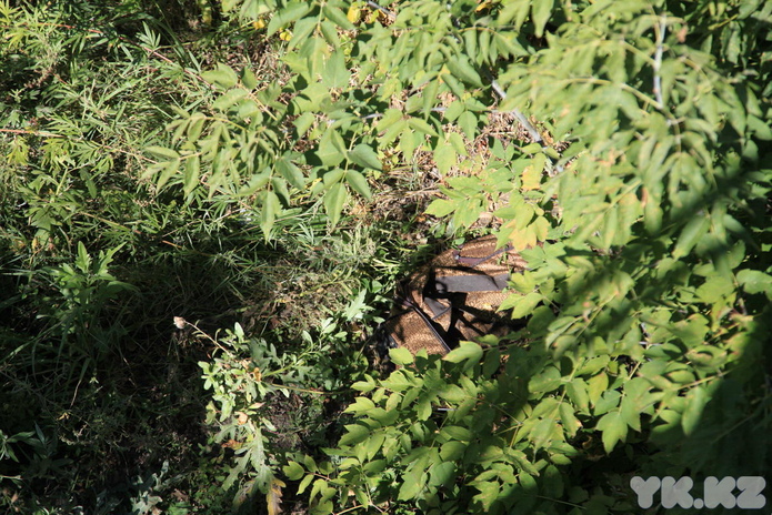 Уборка продолжается