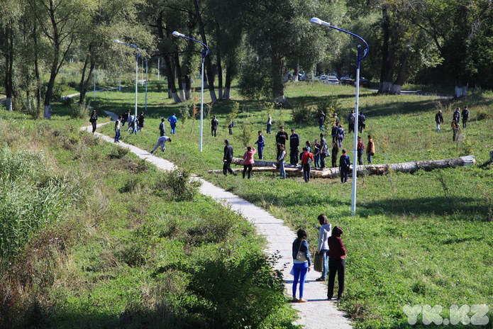 Уборка продолжается