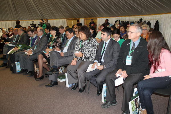 За рамки Алтая