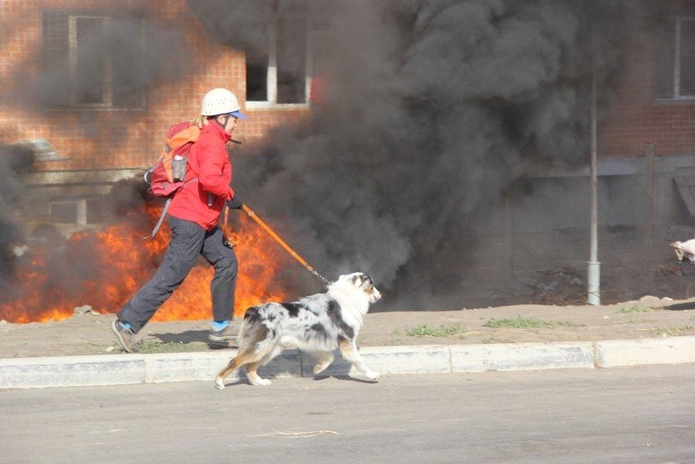 Отработали хорошо (+фото)