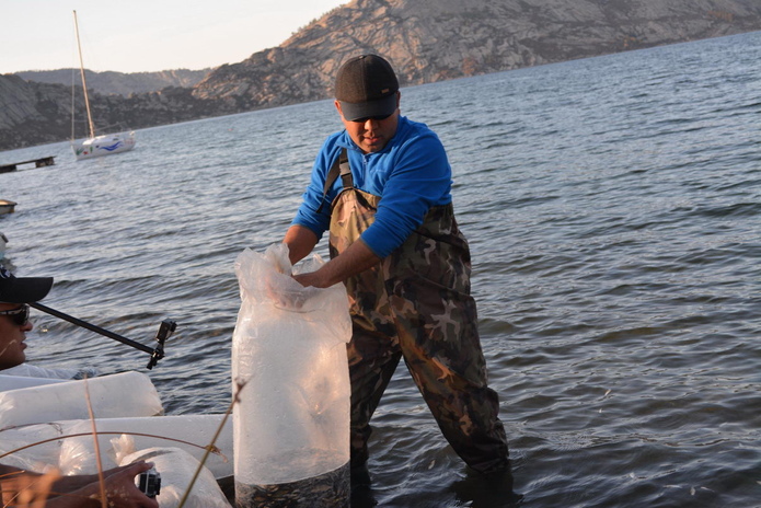 Подводная охота наоборот