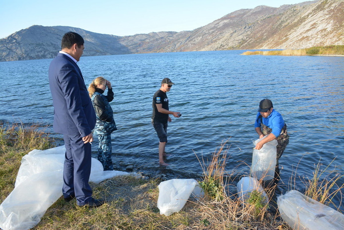 Подводная охота наоборот