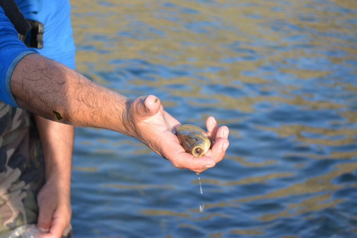 Подводная охота наоборот