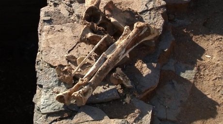 Курганы на хвостохранилище