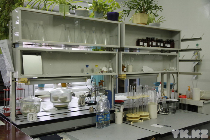 Океан в капле