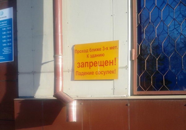 Экология волнует нас больше