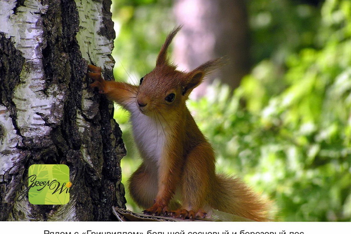Почему казахстанцы выбирают Новосибирск - PR