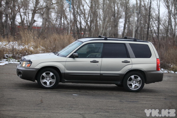 Дамы за рулём (+фото)