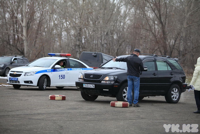 Дамы за рулём (+фото)