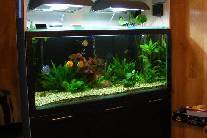 3 тонны айфонов