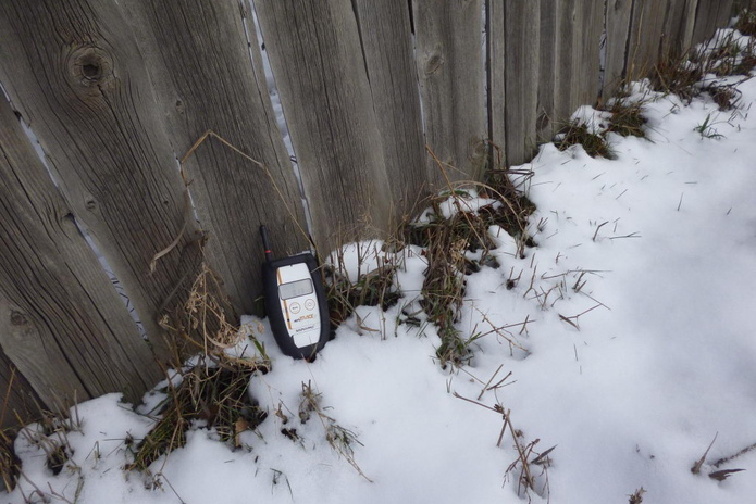 Жизнь на фоне