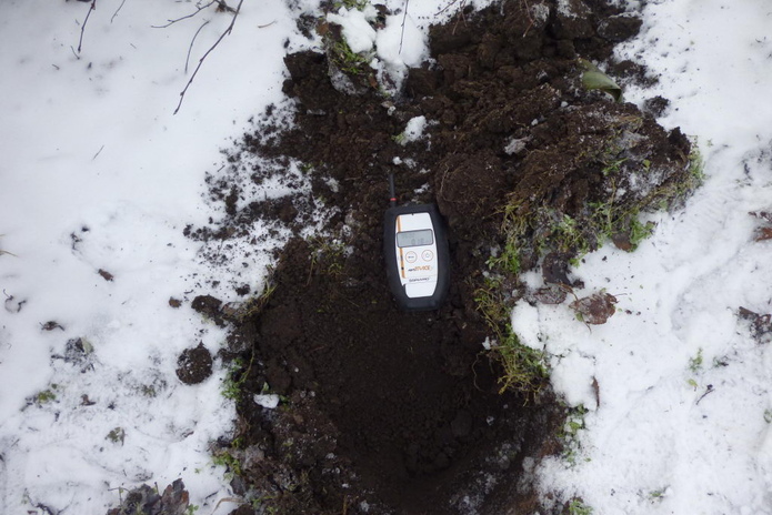 Жизнь на фоне