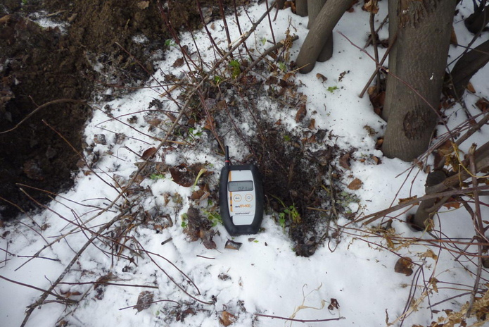 Жизнь на фоне