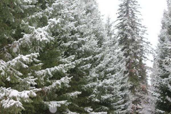 Дети будут довольны! - PR