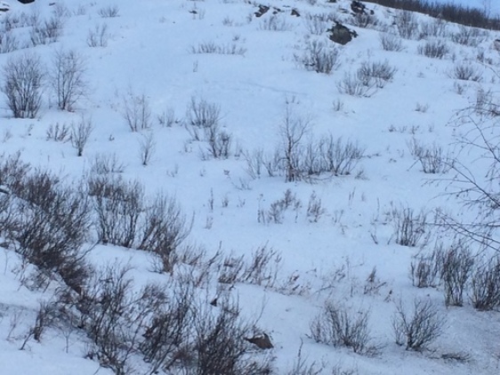 Лучше заранее