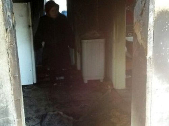 Всё по карте