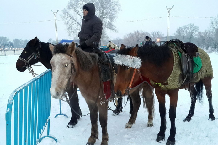 Зимние забавы