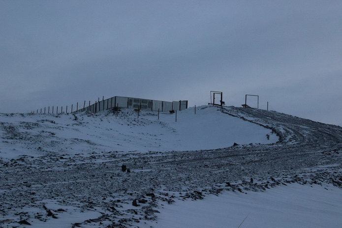 Кладбище домашних животных