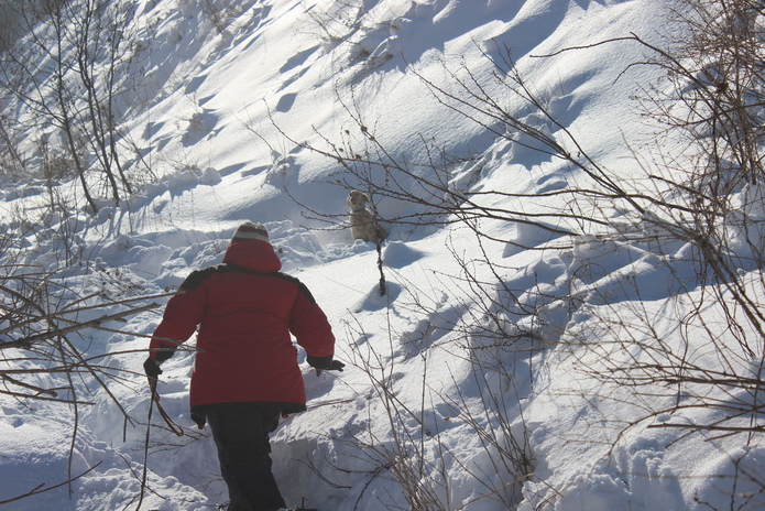 Есть, кому спасать