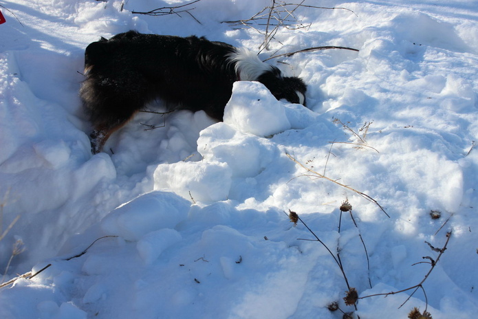 Есть, кому спасать