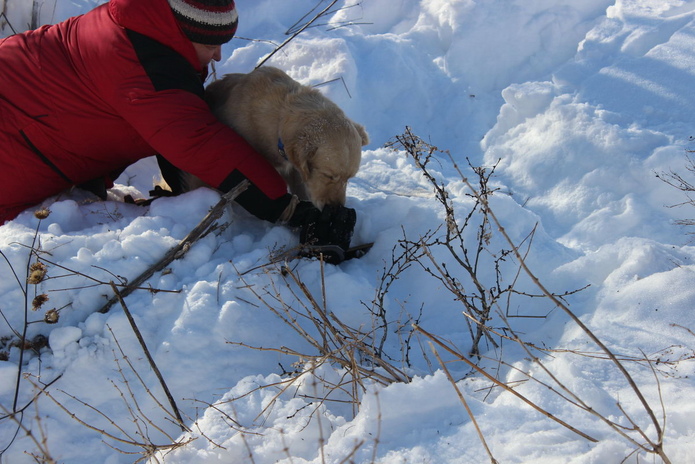 Есть, кому спасать