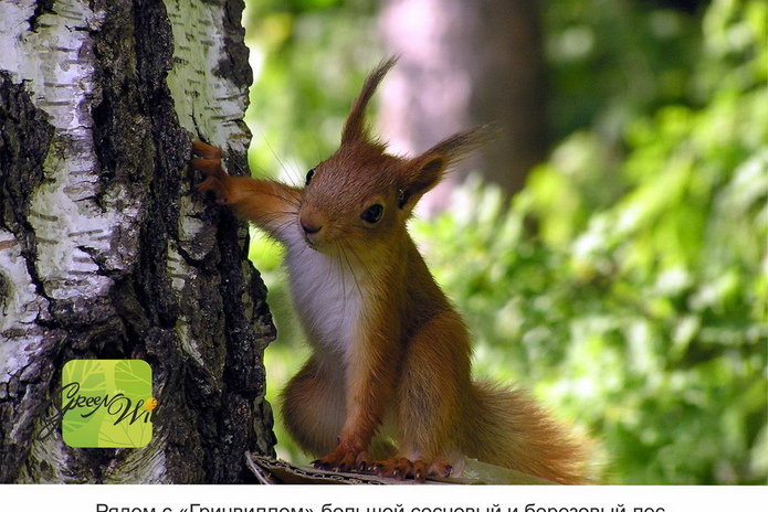 Хорошая квартира в Новосибирске  - ваше будущее! - PR