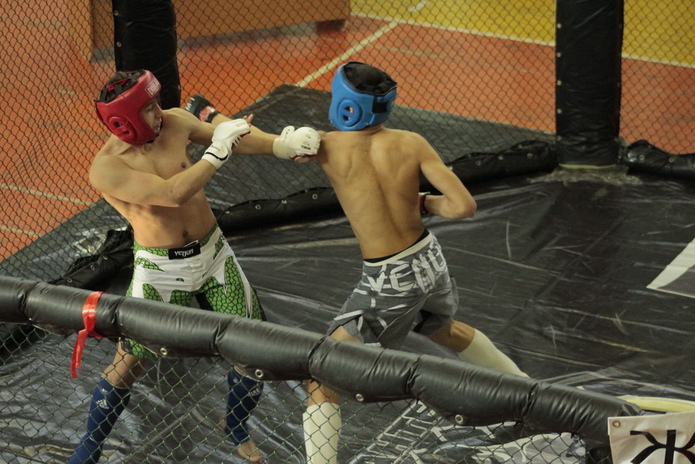 Бей, не жалей!