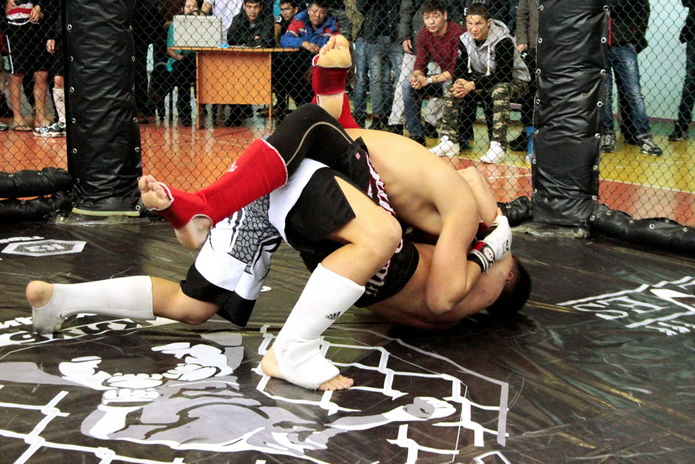 Бей, не жалей!