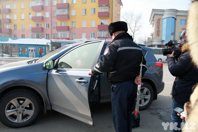Цветы для автоледи (+фото)