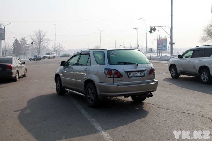 Цветы для автоледи (+фото)