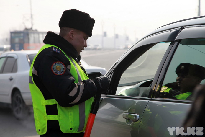 Цветы для автоледи (+фото)