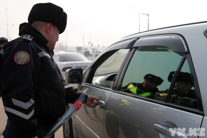 Цветы для автоледи (+фото)