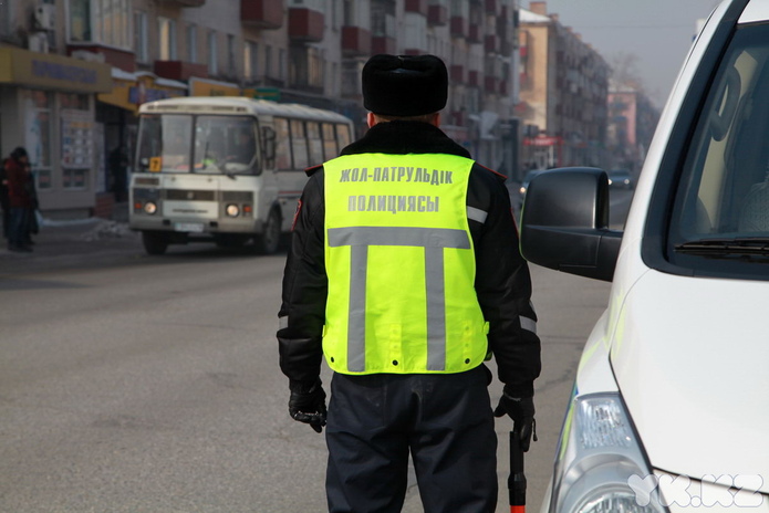 Цветы для автоледи (+фото)