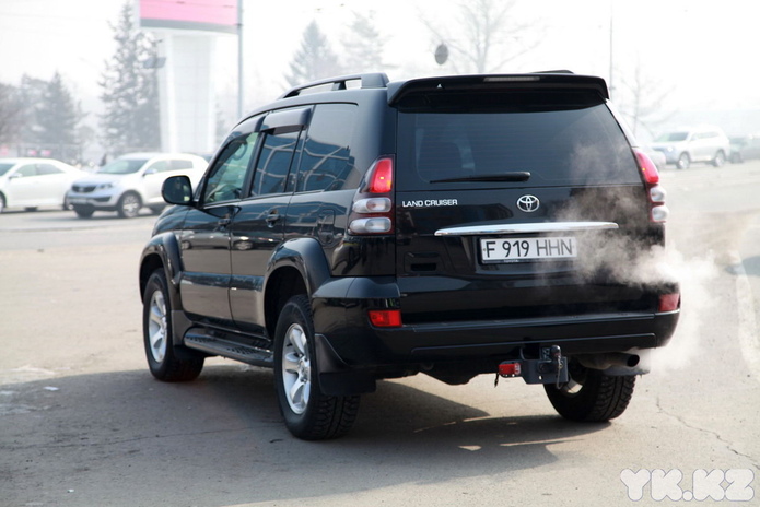 Цветы для автоледи (+фото)