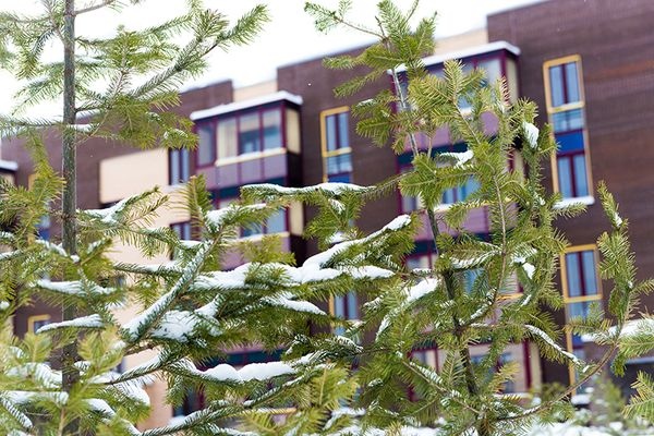 Успели задержать