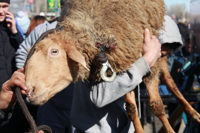 Город гуляет (+фото)