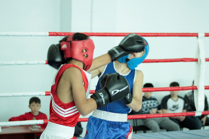 Бои в честь Наурыза