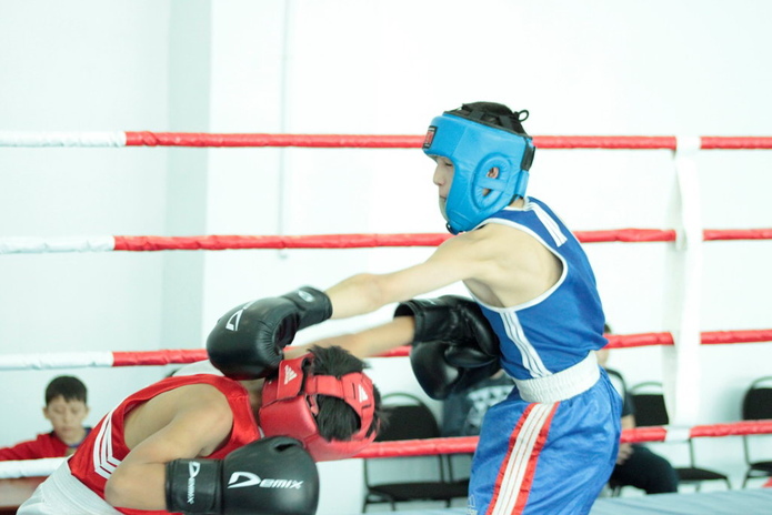 Бои в честь Наурыза