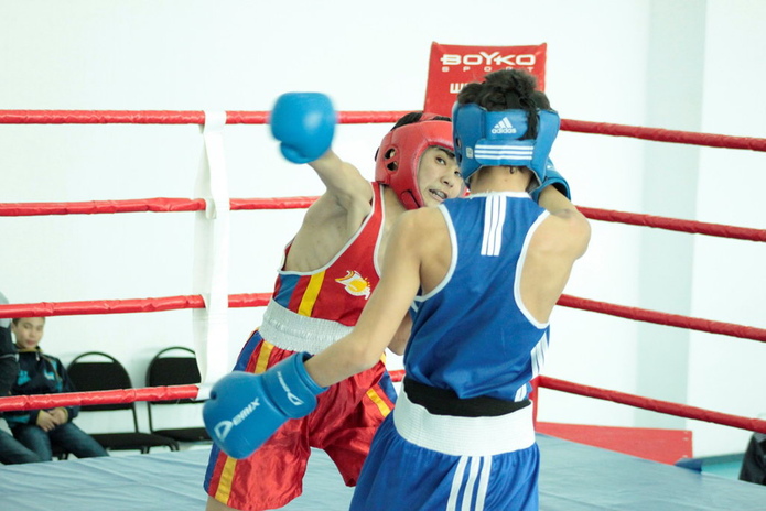 Бои в честь Наурыза