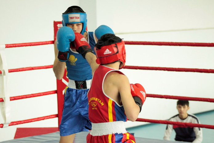 Бои в честь Наурыза