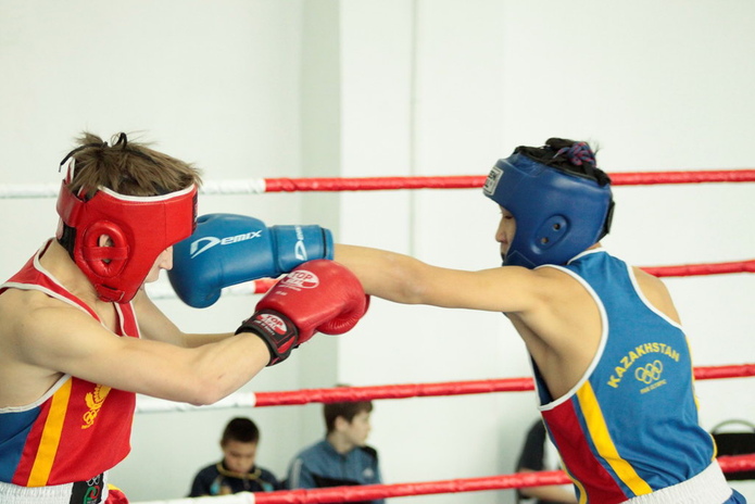 Бои в честь Наурыза