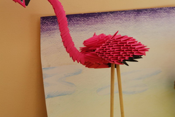 Птицеворот (+фото)