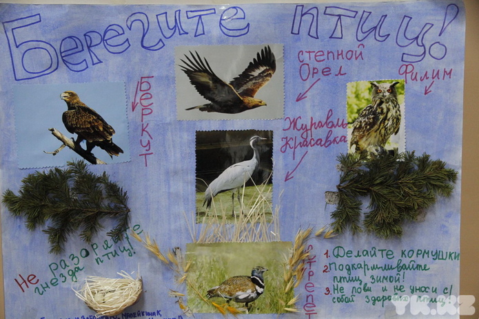 Птицеворот (+фото)