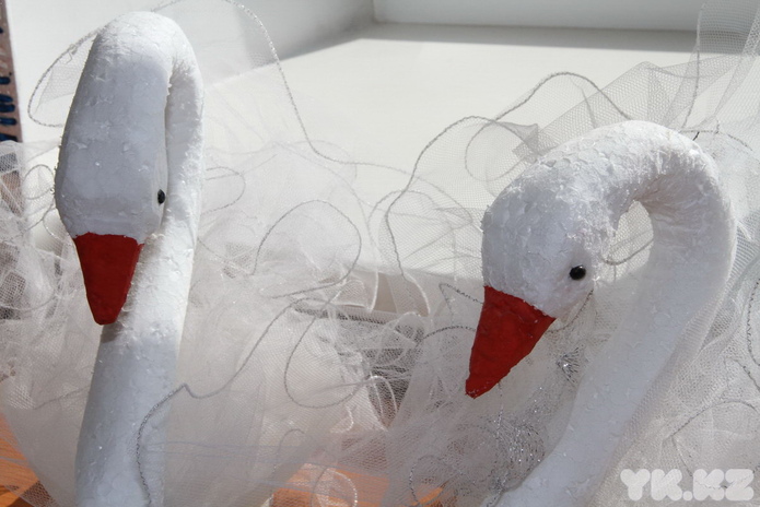 Птицеворот (+фото)