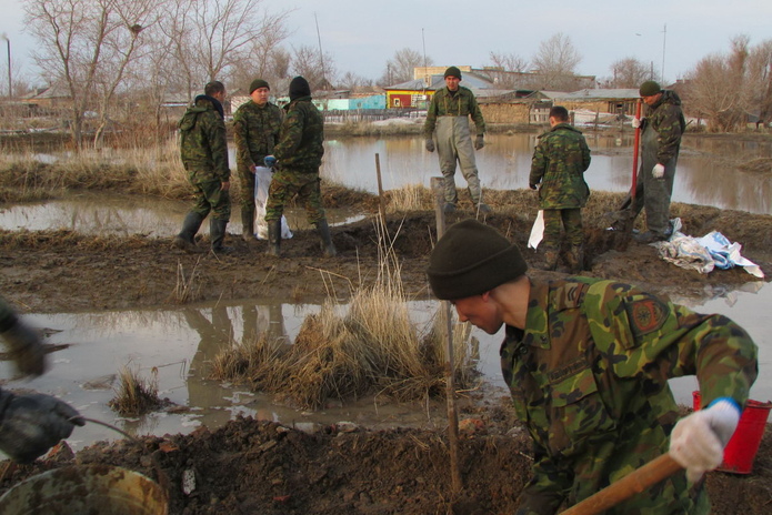 Зоркий глаз