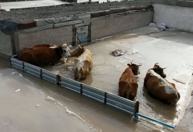 Поворачивай!