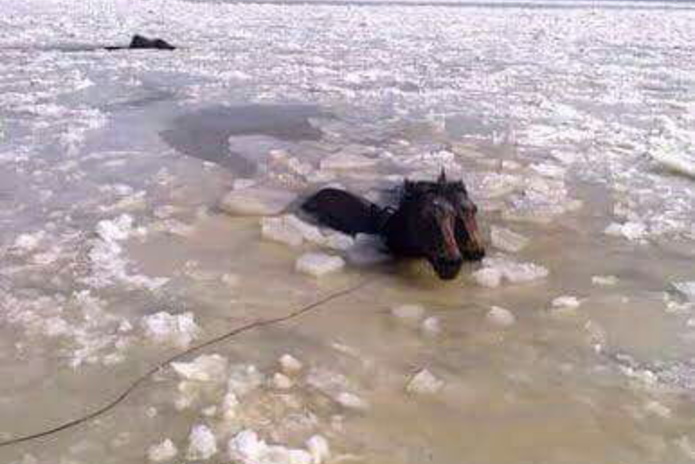 Поворачивай!