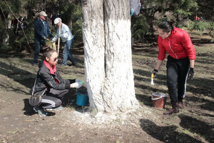 Вы шумите, шумите